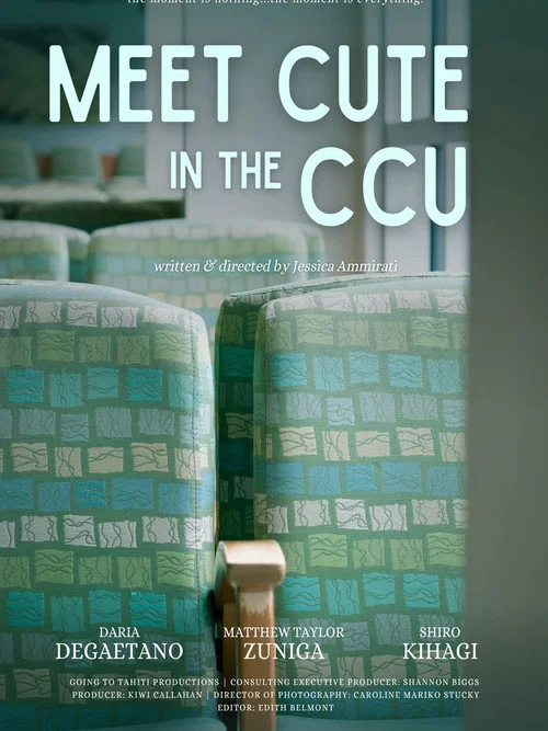 Meet Cute In the CCU постер