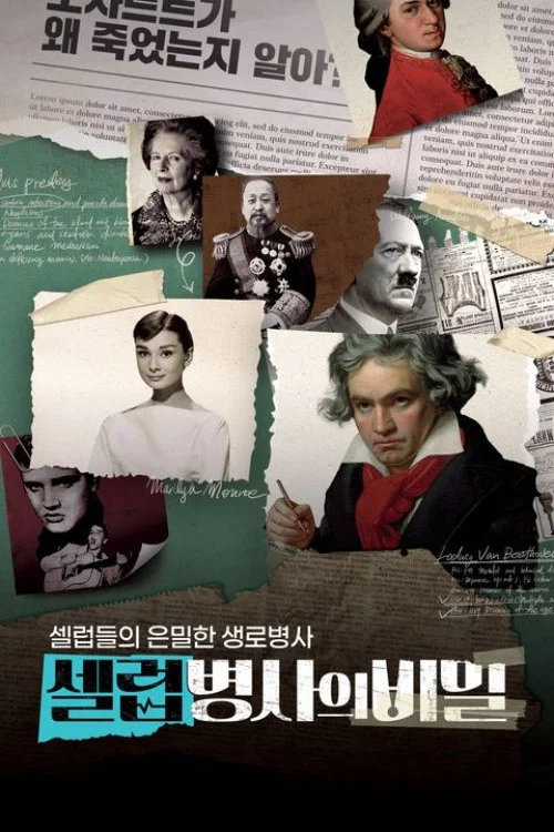셀럽병사의 비밀 постер