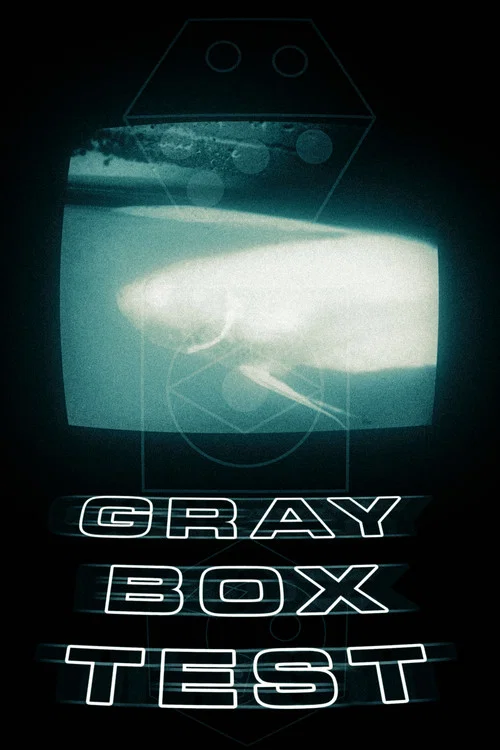 Grey Box Test постер