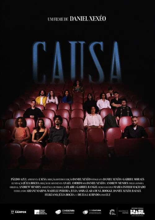 Causa постер