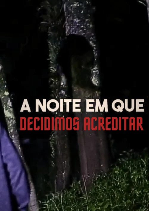 A noite em que Decidimos Acreditar постер