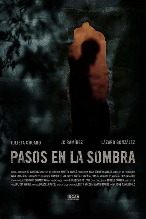 Pasos en la sombra постер