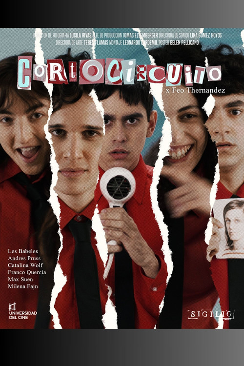 Cortocircuito постер