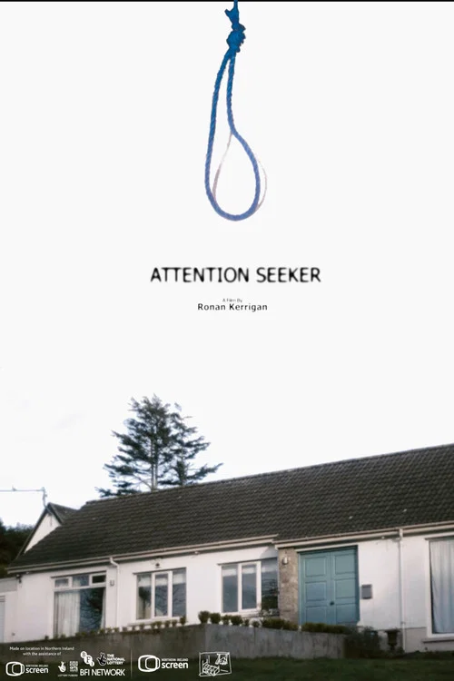 Attention Seeker постер