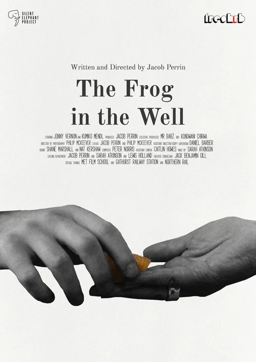 The Frog in The Well постер