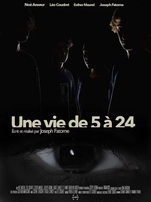 Une Vie de 5 à 24 постер