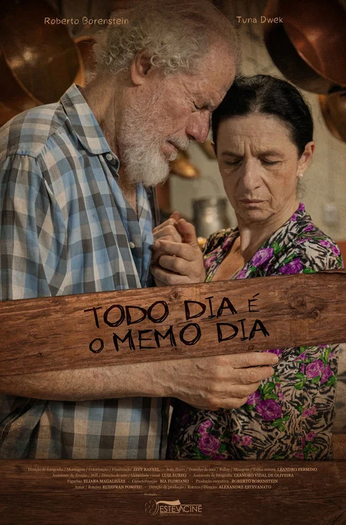 Todo Dia É O Memo Dia постер