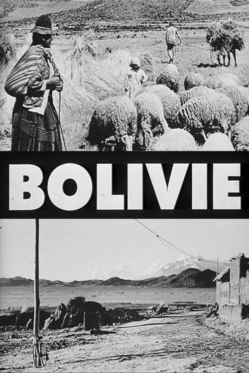 Bolivie постер