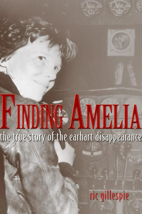 Finding Amelia постер
