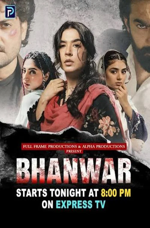 Bhanwar постер
