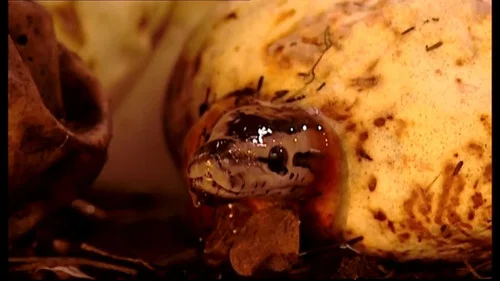 Эпизод 2