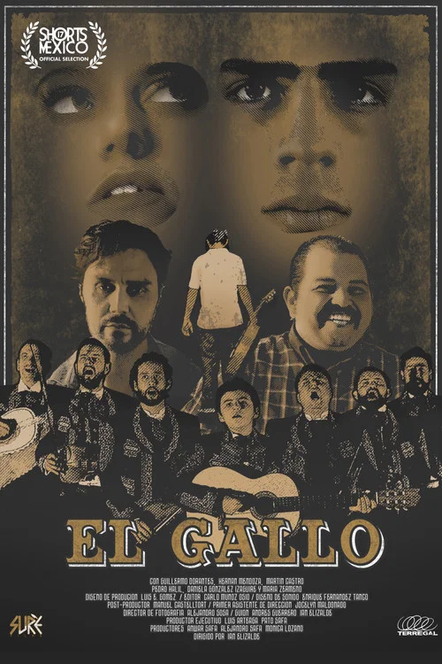 El Gallo постер