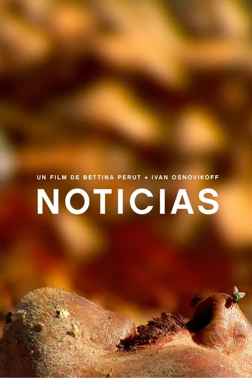 Noticias постер