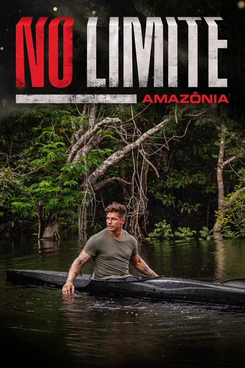 No Limite постер