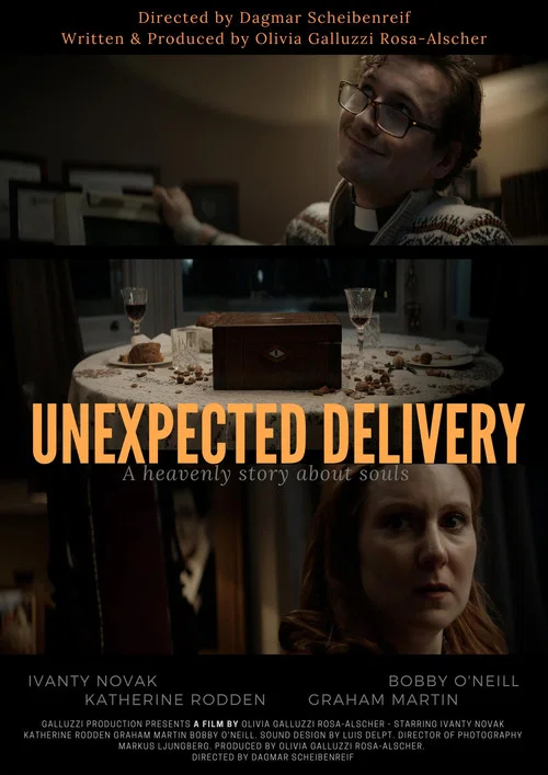 Unexpected Delivery постер