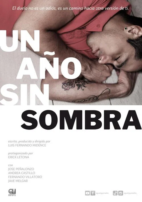 Un año sin sombra постер