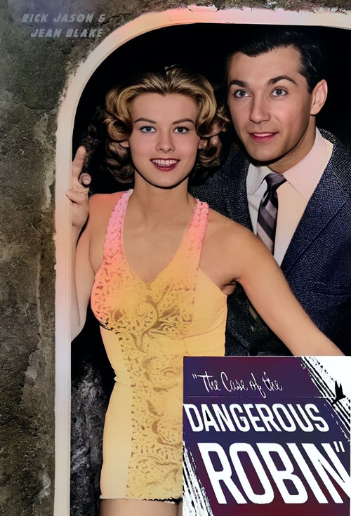 The Case of the Dangerous Robin постер