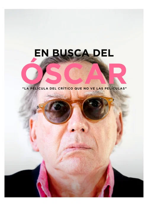 En busca del Óscar постер
