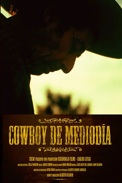 Cowboy de Mediodía постер