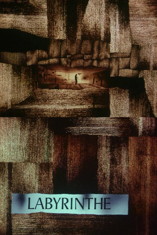 Le labyrinthe постер