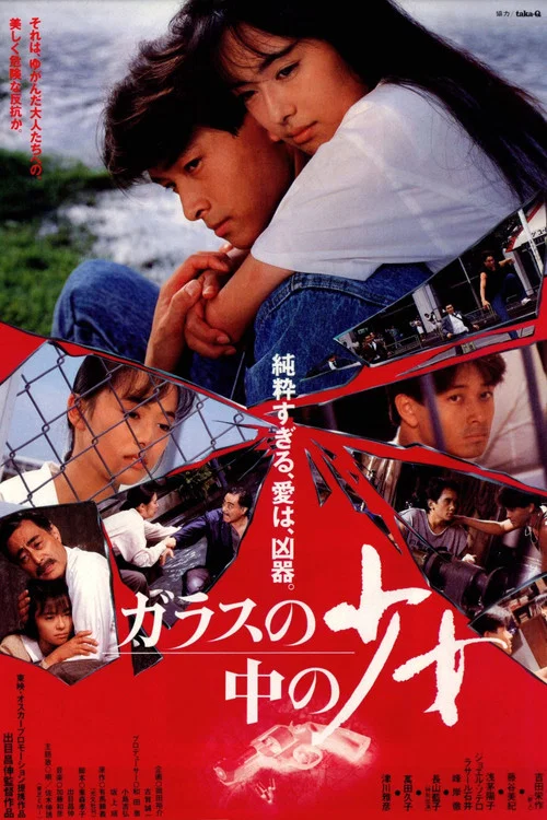 ガラスの中の少女 постер