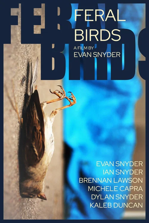 Feral Birds постер