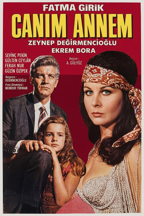 Ayşecik: Canım Annem постер