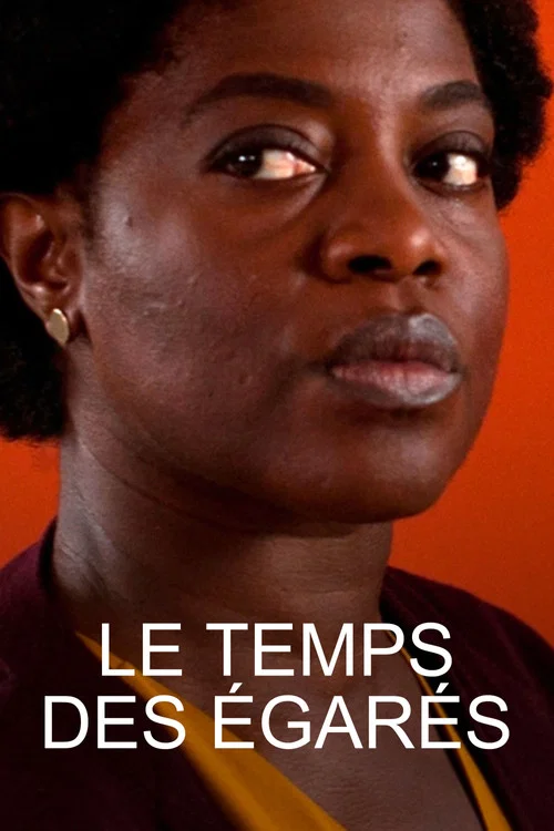 Le temps des égarés постер