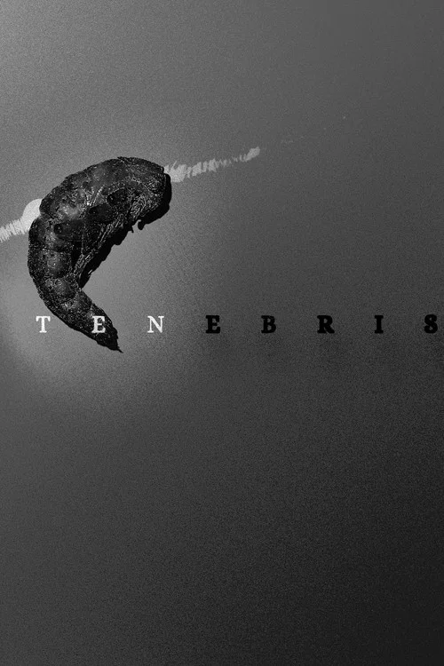 Tenebris постер