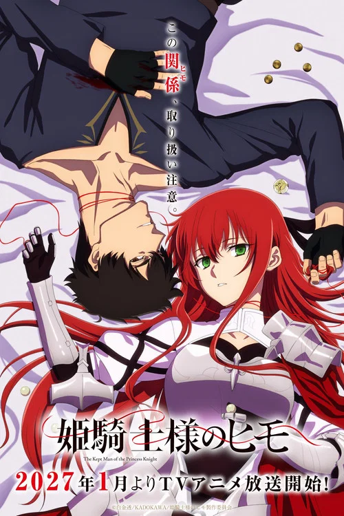 姫騎士様のヒモ постер