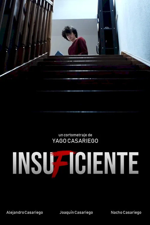 Insuficiente постер