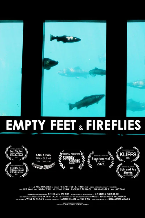 Empty Feet & Fireflies постер