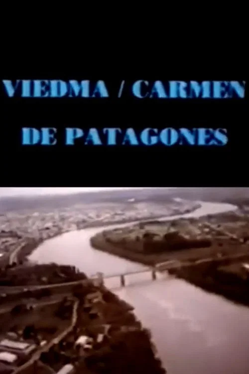 Viedma hoy постер