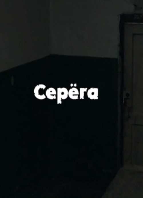 Серёга постер