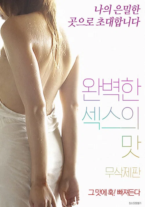 완벽한 섹스의 맛 постер