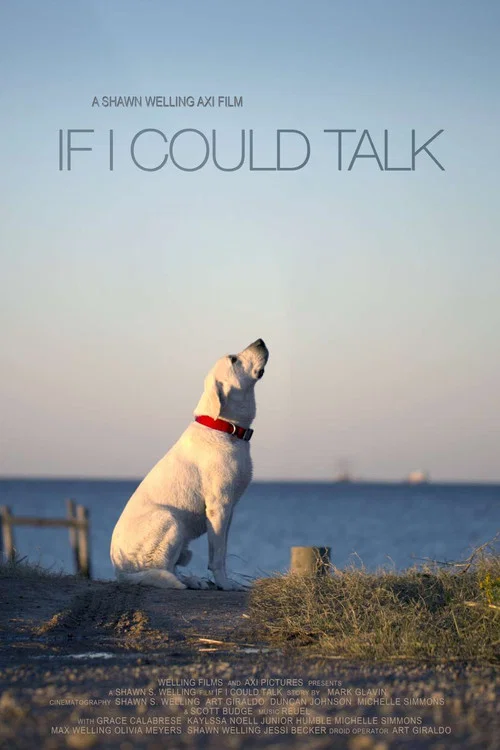 If I Could Talk постер