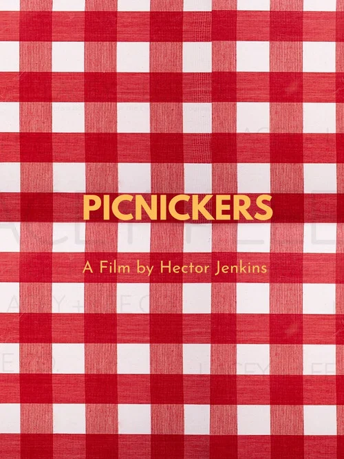 Picnickers постер