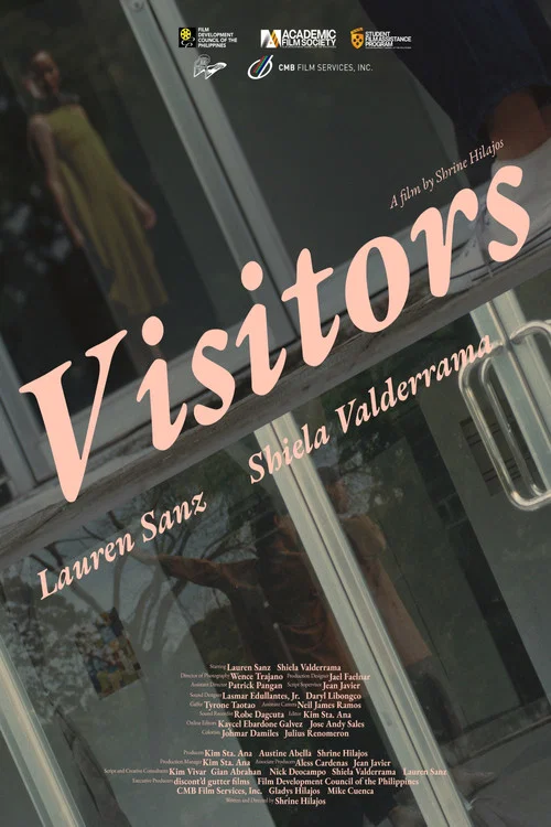 Visitors постер