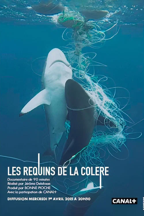 Les Requins de la Colère постер