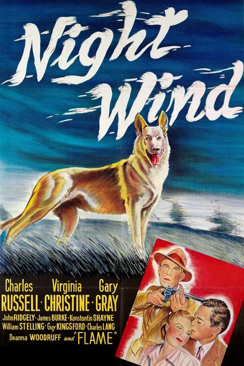 Night Wind постер