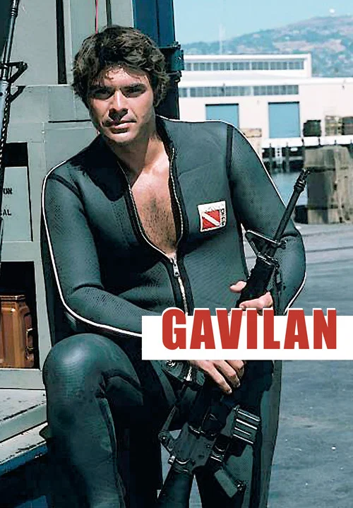 Gavilan постер