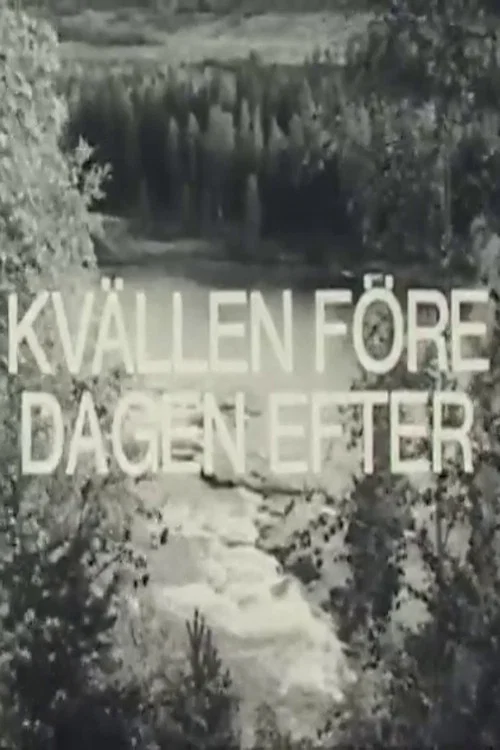 Kvällen före dagen efter постер