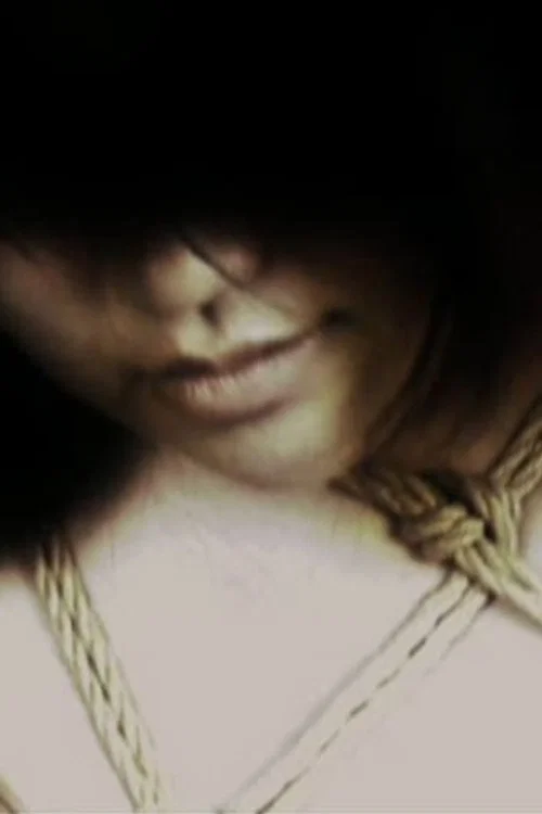 Kinbaku постер