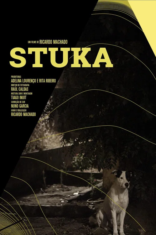 Stuka постер