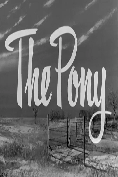 The Pony постер