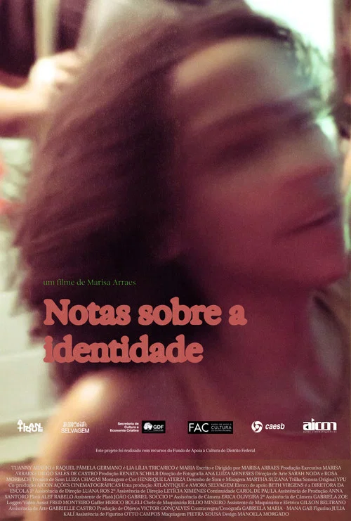 Notas Sobre a Identidade постер