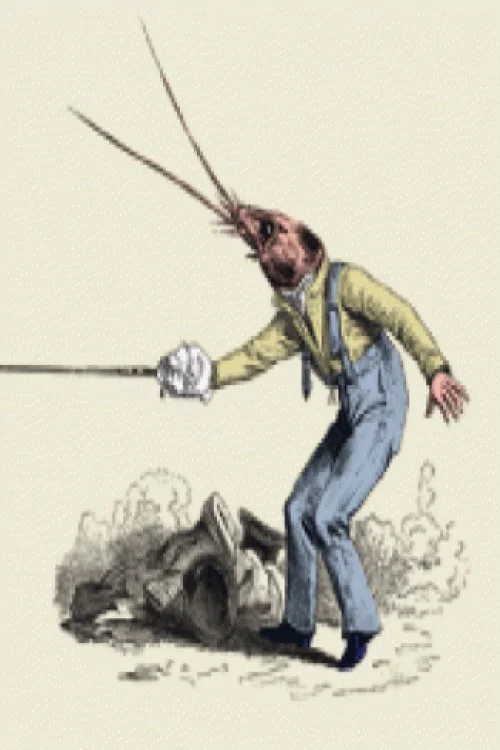 Les Brigands постер