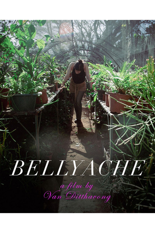 Bellyache постер