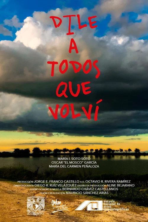 Dile a todos que volví постер