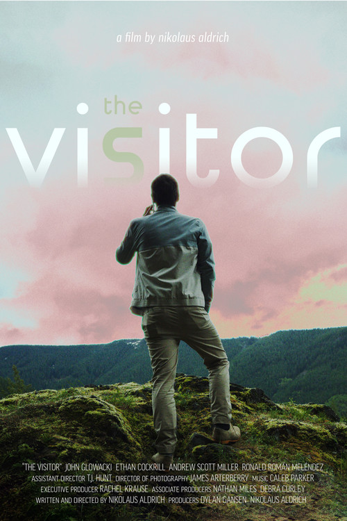 The Visitor постер